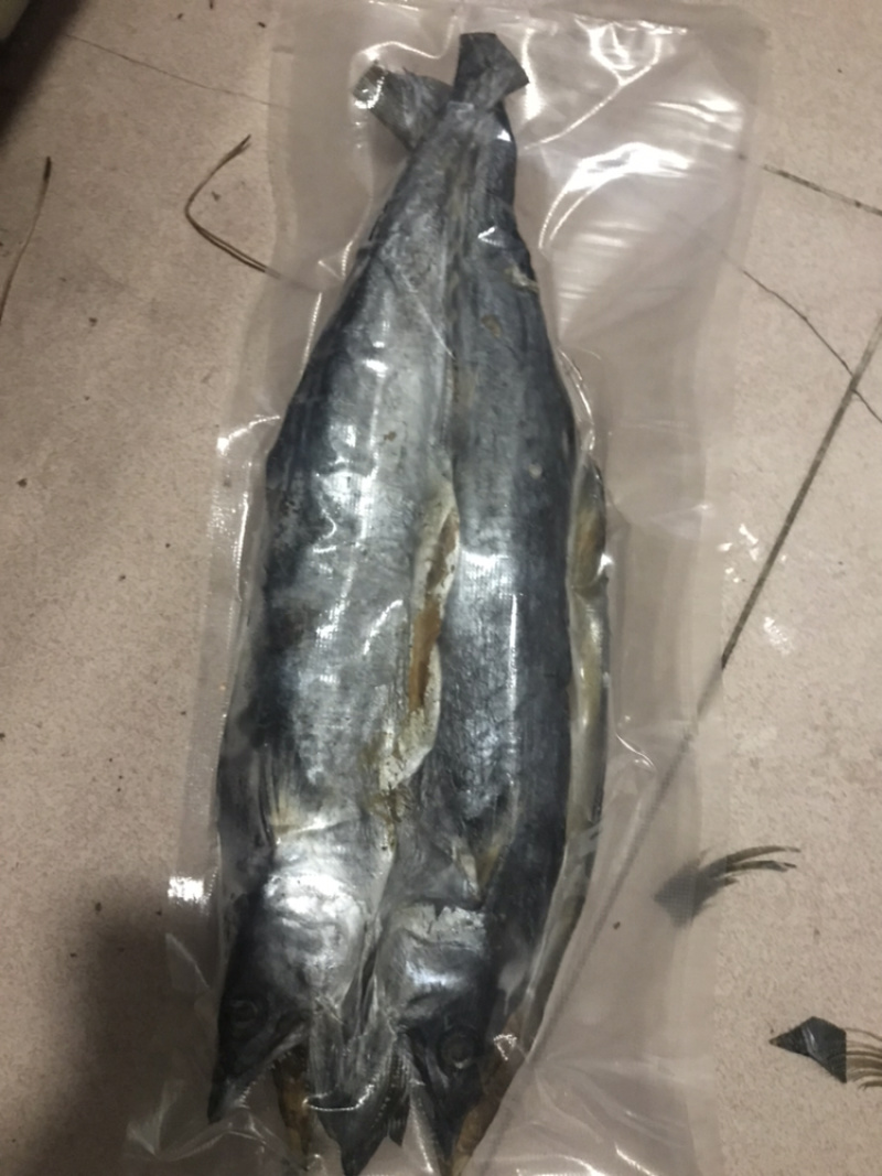鲅鱼各种规格大量批发需要联系