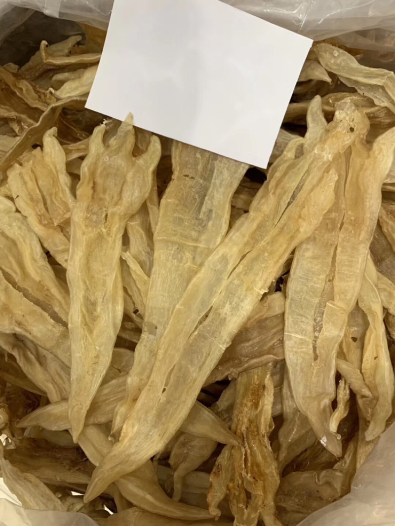 10头厚肉阴阳鳘鱼胶花胶北海鳘胶条月子花胶