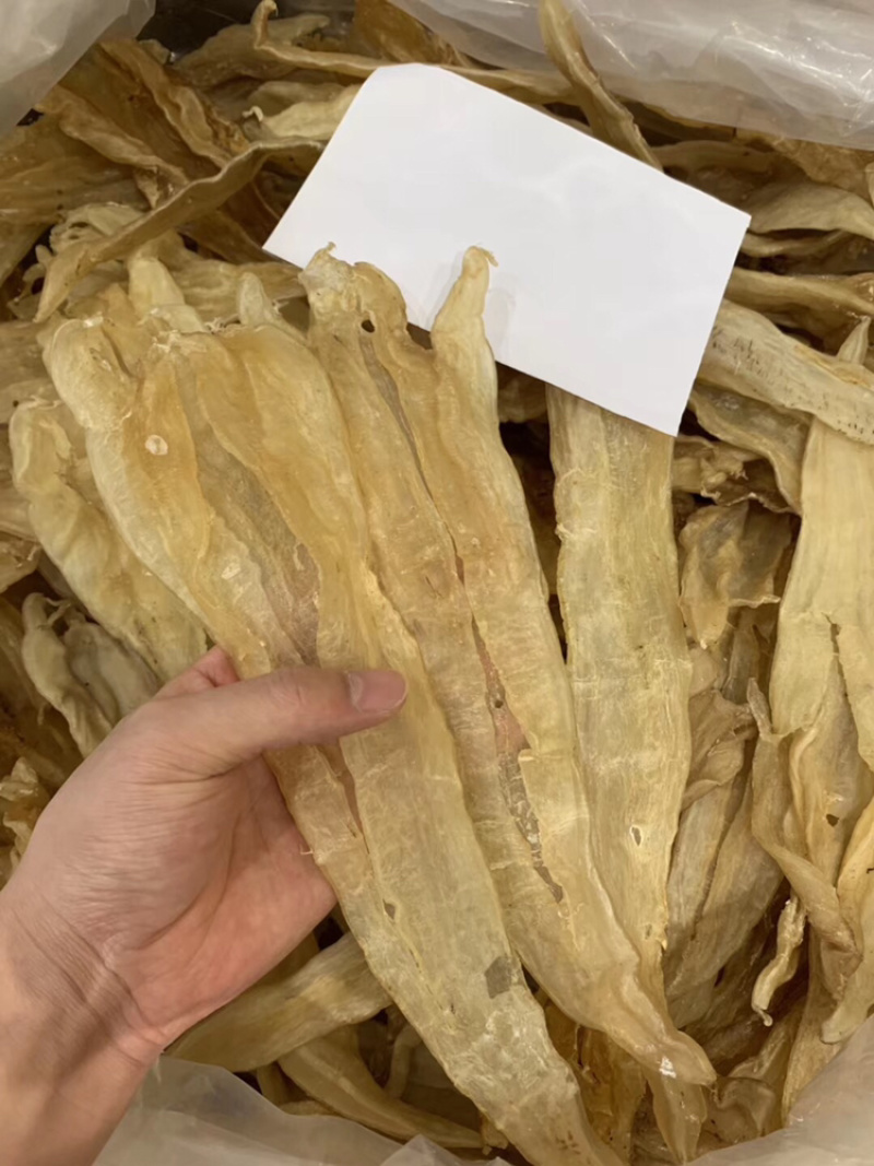 10头厚肉阴阳鳘鱼胶花胶北海鳘胶条月子花胶