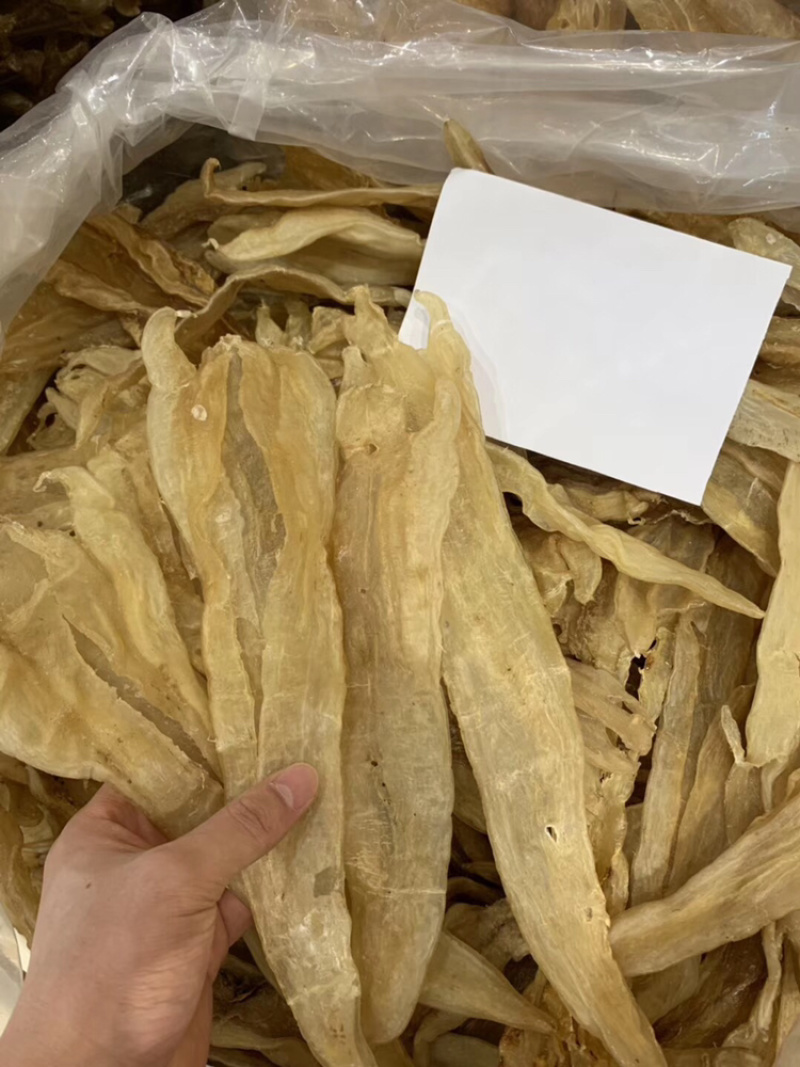 10头厚肉阴阳鳘鱼胶花胶北海鳘胶条月子花胶