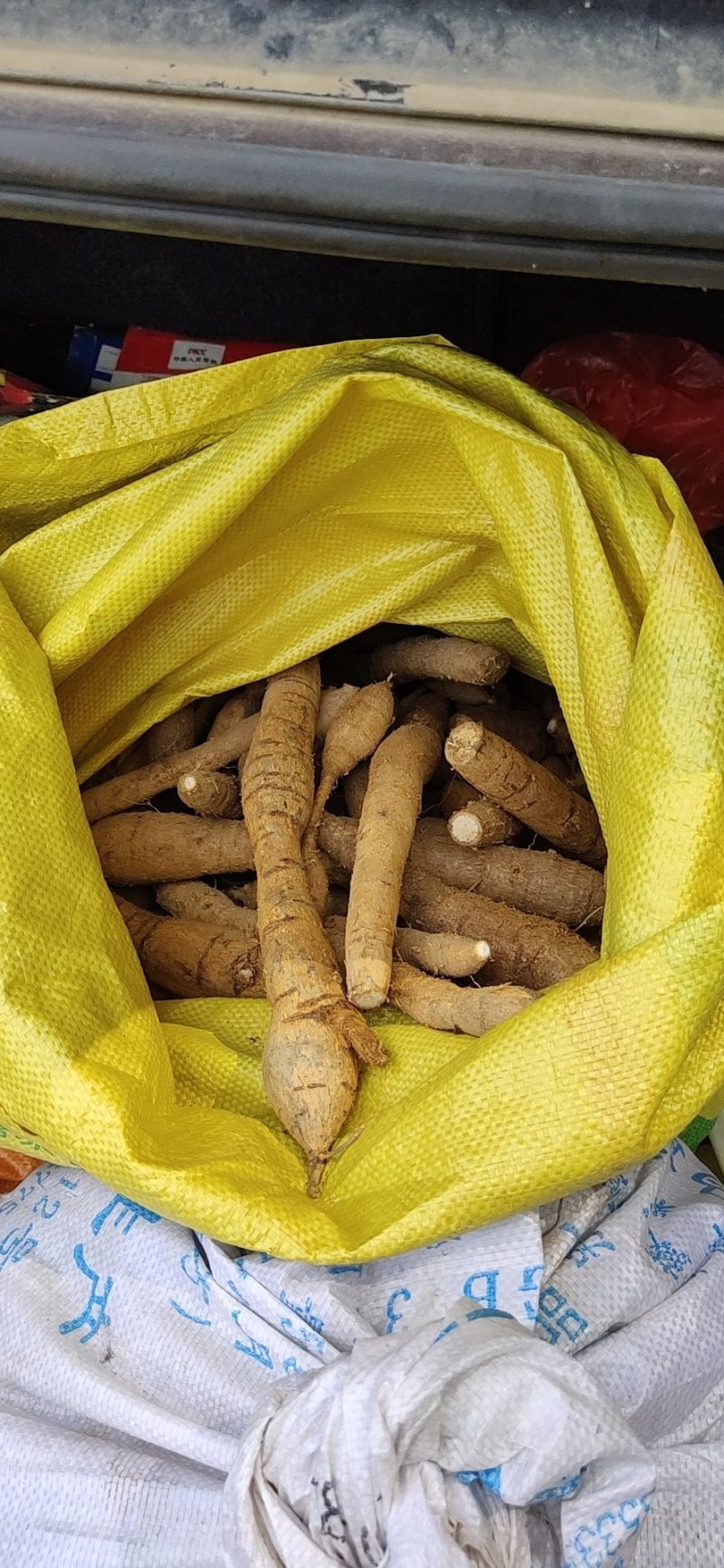 牛大力，广西省百色市本地货源，量不多需要的联系可预订