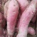 城固红薯3两以上甜面可口红皮白芯现在大量上市中
