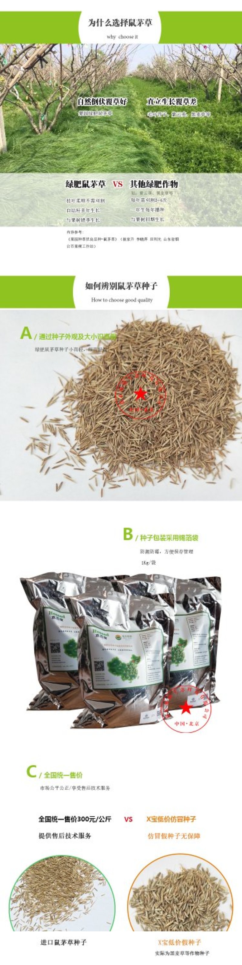 鼠茅草种子嘉禾源硕鼠茅草种子进口鼠茅草种子