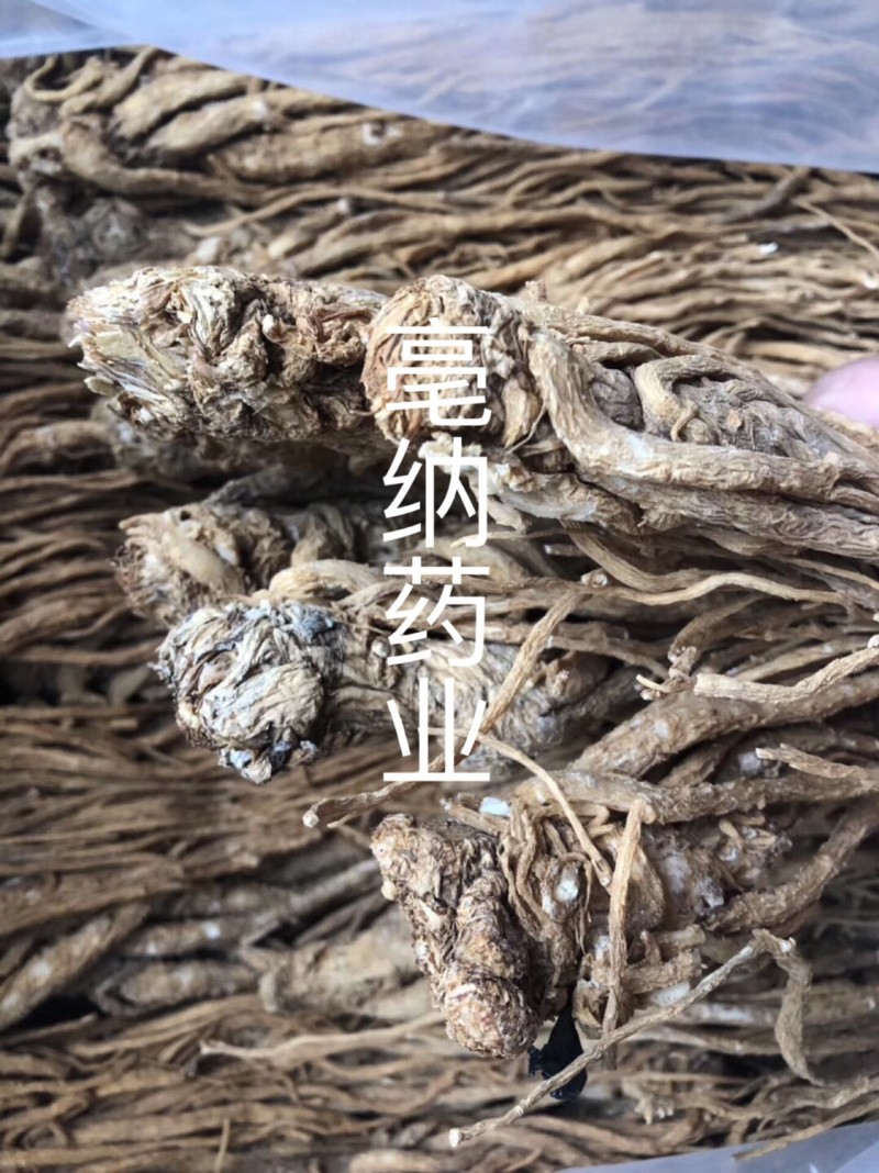 当归个1公斤起批当归个子大货批发甘肃当归