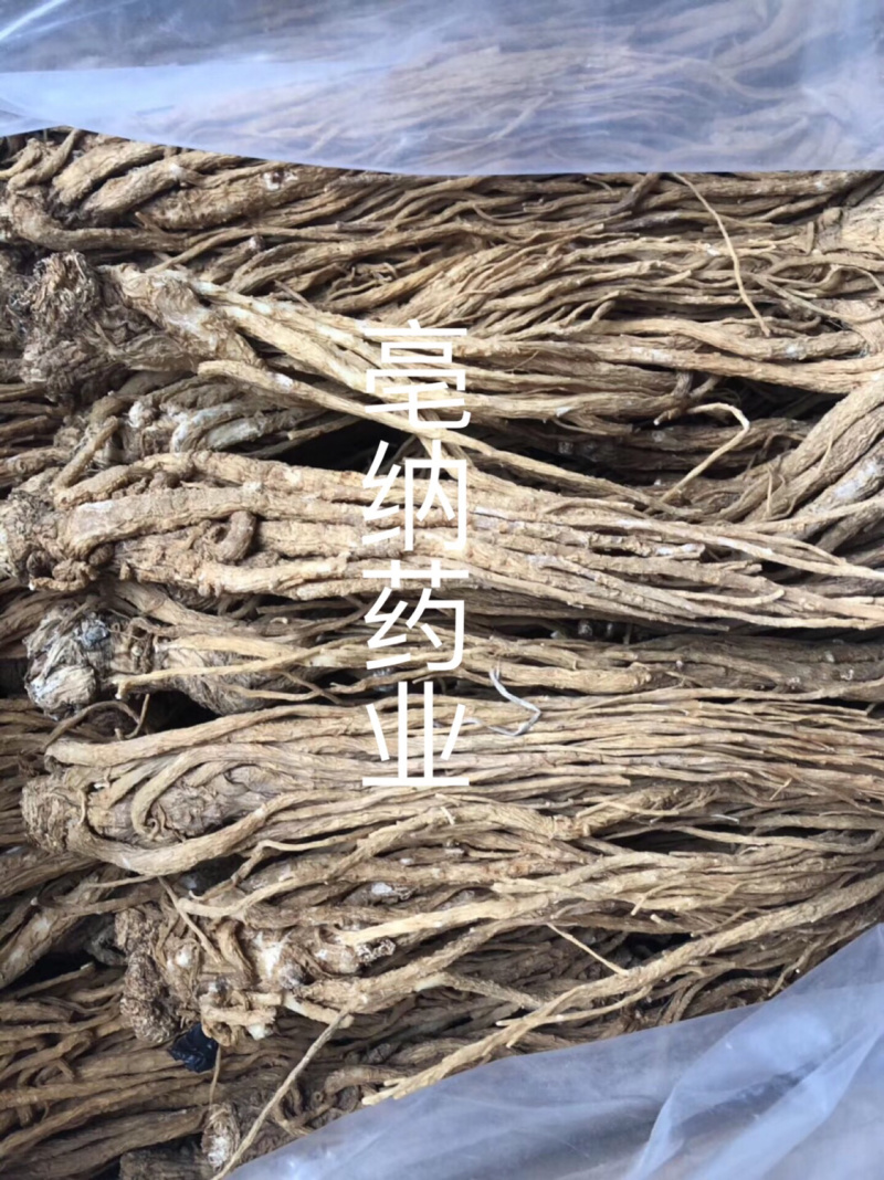 当归个1公斤起批当归个子大货批发甘肃当归