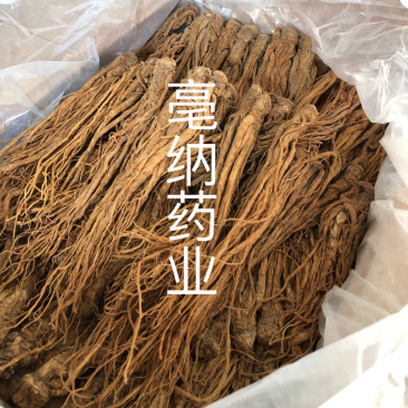 当归个1公斤起批当归个子大货批发甘肃当归
