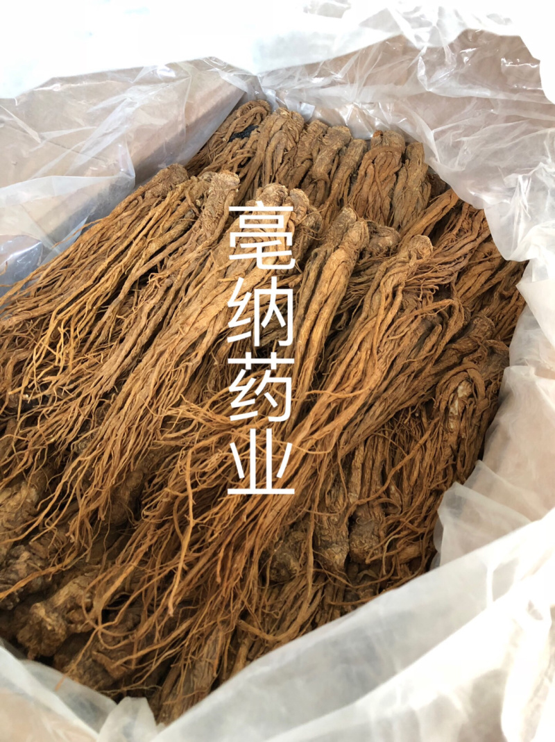 当归个1公斤起批当归个子大货批发甘肃当归