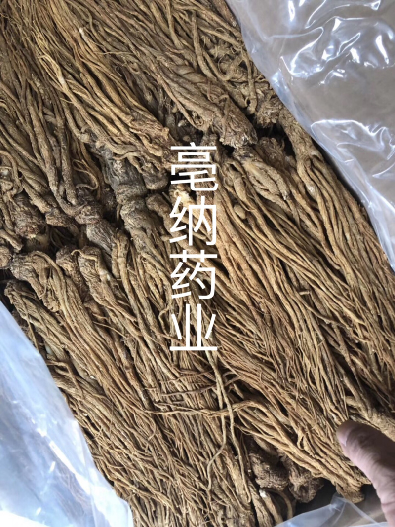 当归个1公斤起批当归个子大货批发甘肃当归