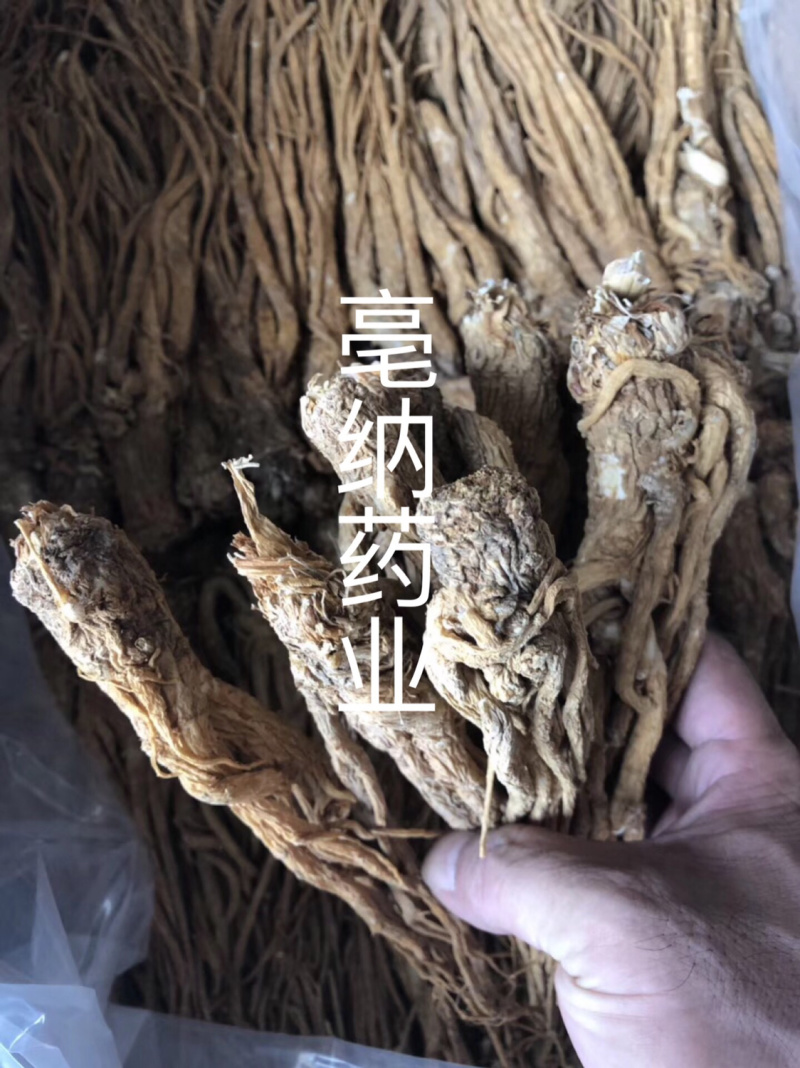 当归个1公斤起批当归个子大货批发甘肃当归