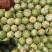宁夏硒砂瓜苹果现已大量上市！！各种苹果都有！