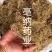 辽细辛东北1公斤起批大货批发水洗去头货