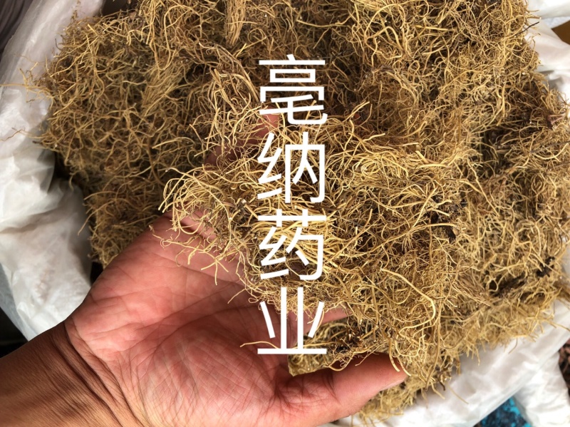 辽细辛东北1公斤起批大货批发水洗去头货