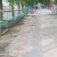家禽畜牧养殖基地，河边，道路已硬化！