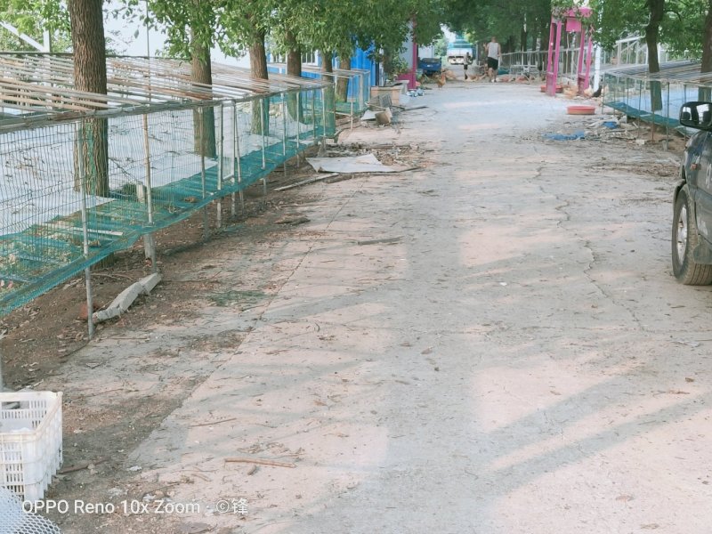 家禽畜牧养殖基地，河边，道路已硬化！