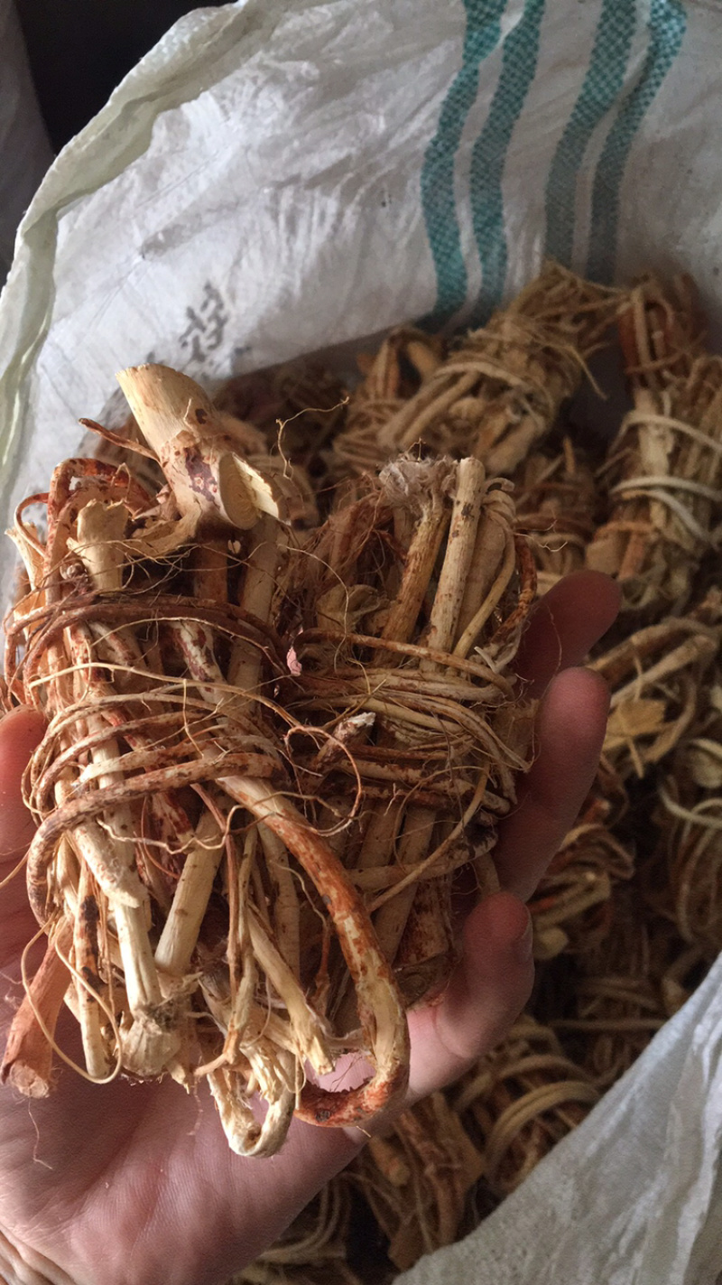 五指毛桃野生无硫特级（实图拍摄）