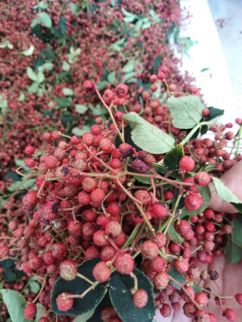 花椒，大红袍花椒