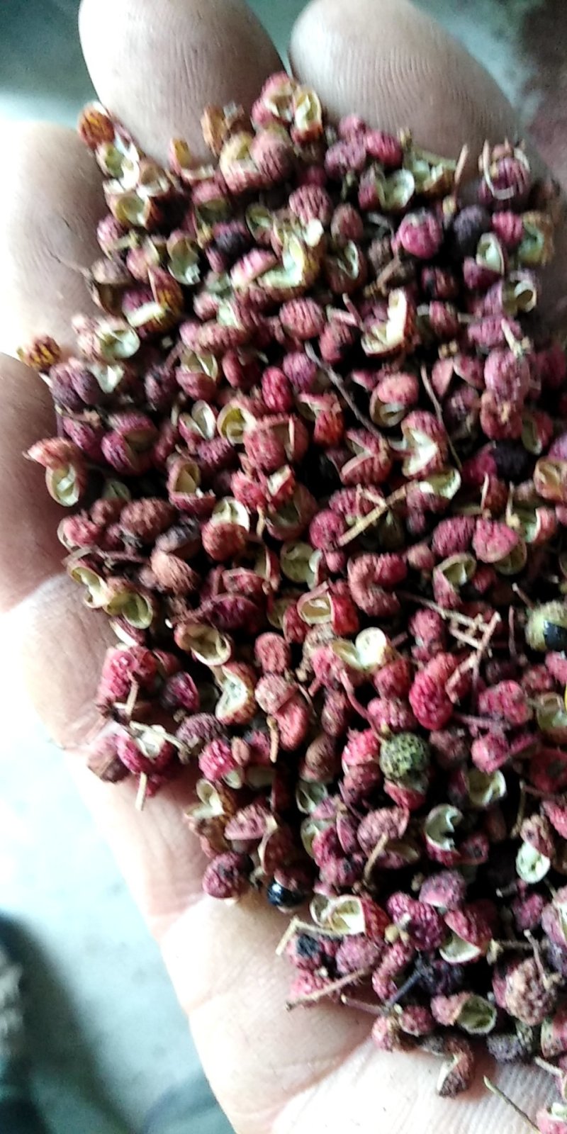 花椒，大红袍花椒