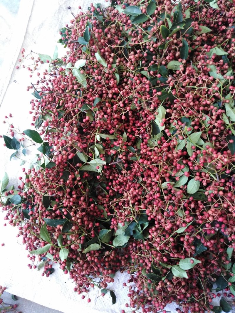 花椒，大红袍花椒
