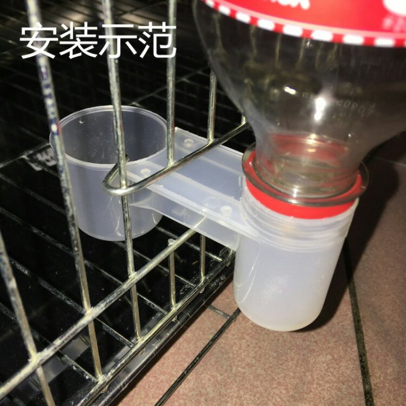 双口自动饮水器鸽鸟用自动饮水器