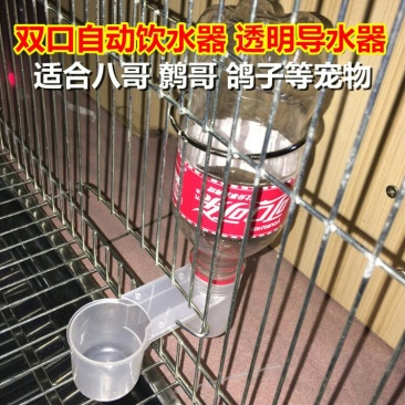 双口自动饮水器鸽鸟用自动饮水器