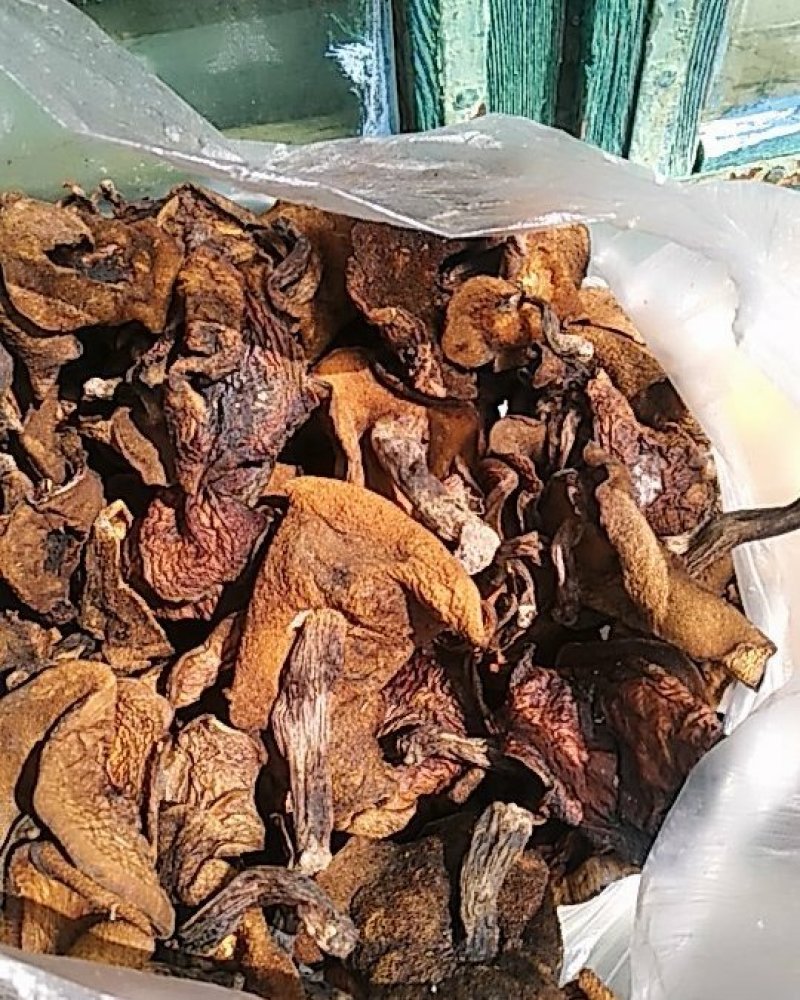 手挑干净松蘑，自然干无虫货需要的联系我吧