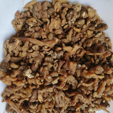 黄精投料货