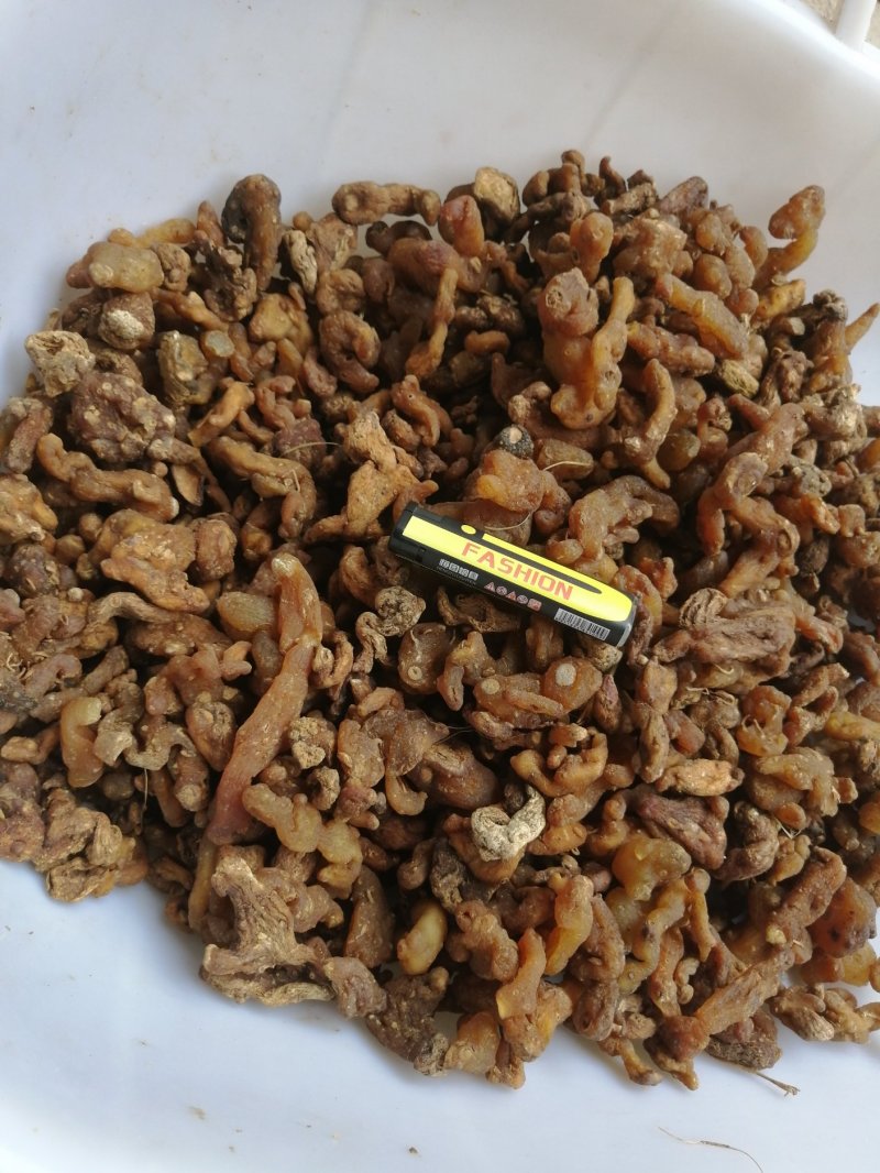 黄精投料货