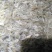 清水小河虾，虾稻混养
