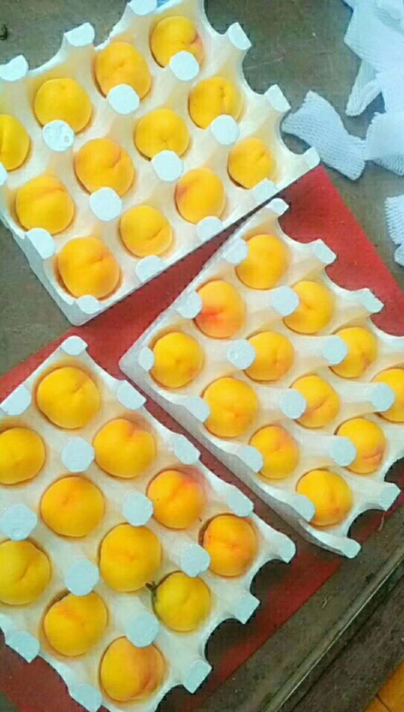 黄金蜜黄桃