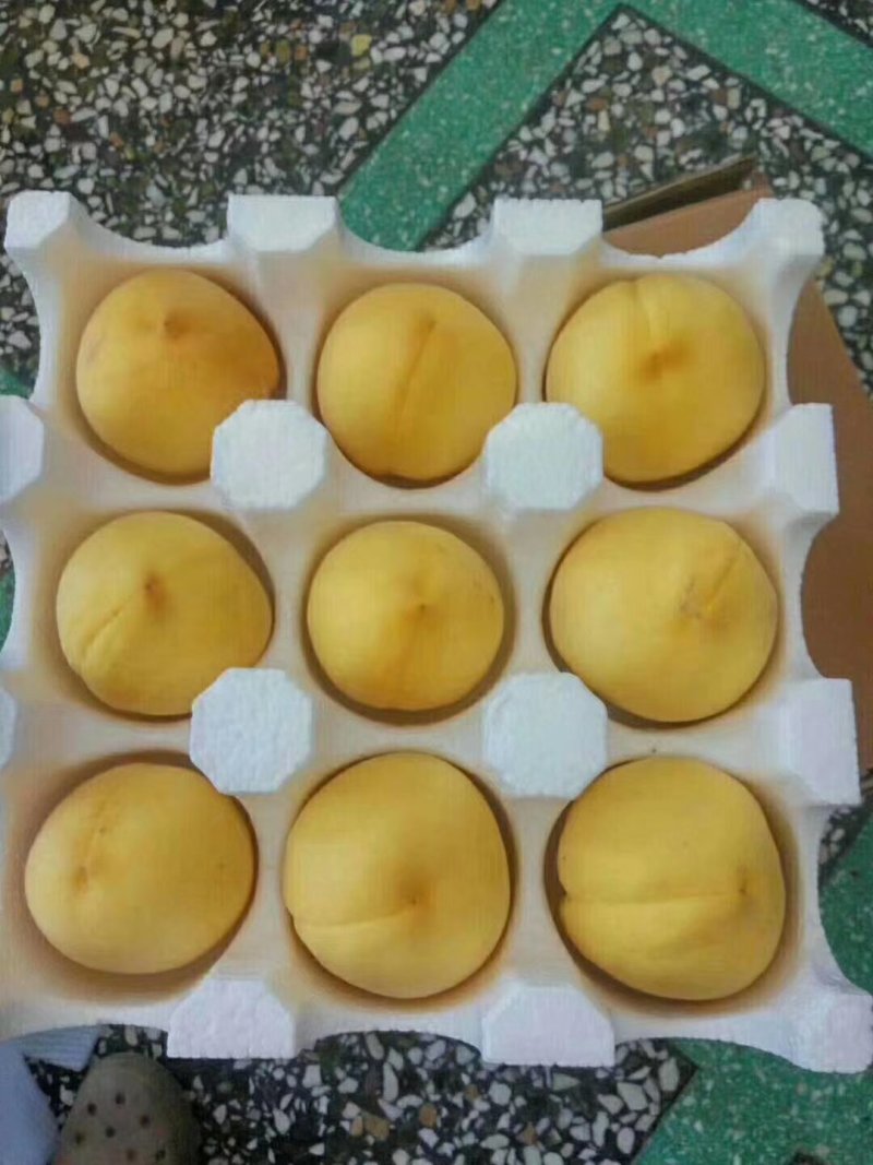 黄金蜜黄桃