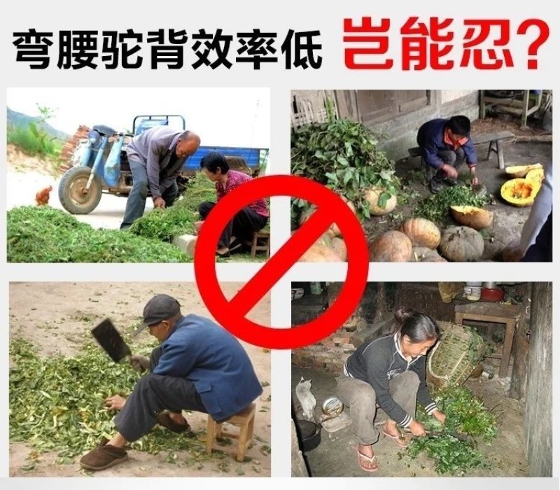 家用电动220V切草机青贮饲料铡碎机青菜青草粉碎机