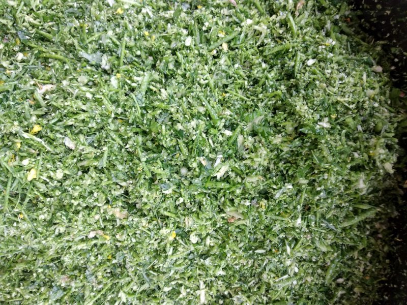 家用电动220V切草机青贮饲料铡碎机青菜青草粉碎机