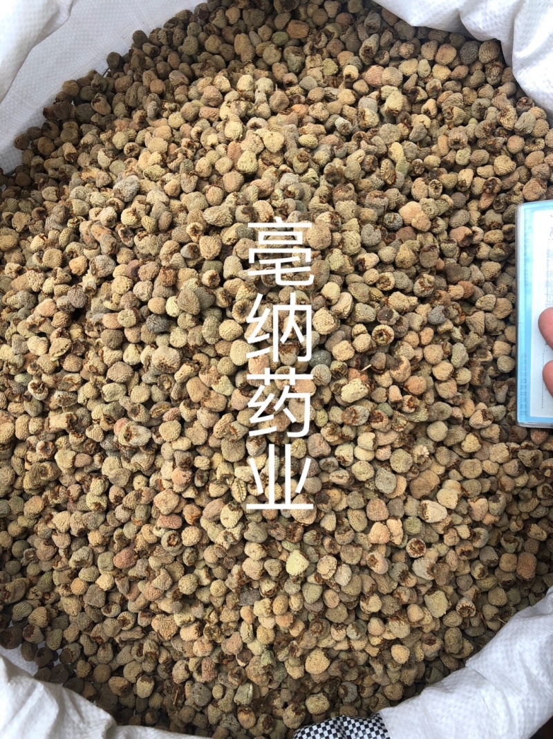 覆盆子1⃣️公斤起批中药材大颗粒精选覆盆子