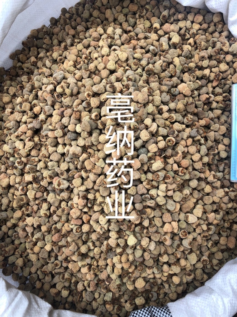 覆盆子1⃣️公斤起批中药材大颗粒精选覆盆子