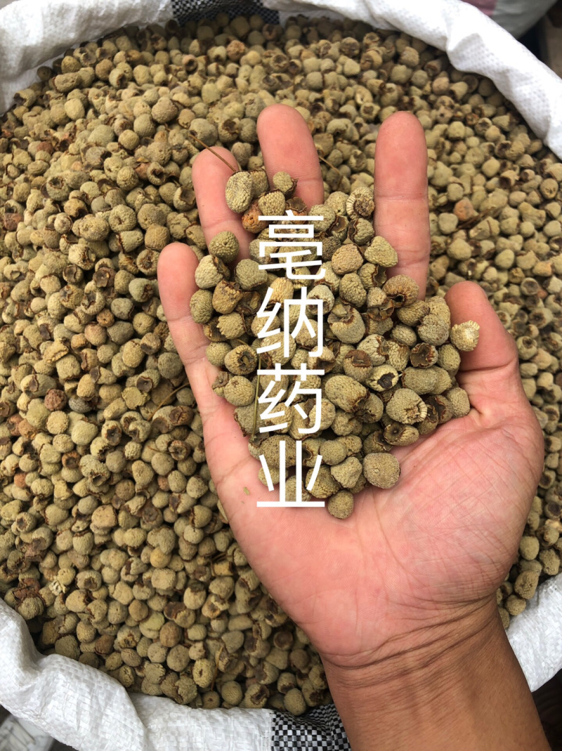覆盆子1⃣️公斤起批中药材大颗粒精选覆盆子