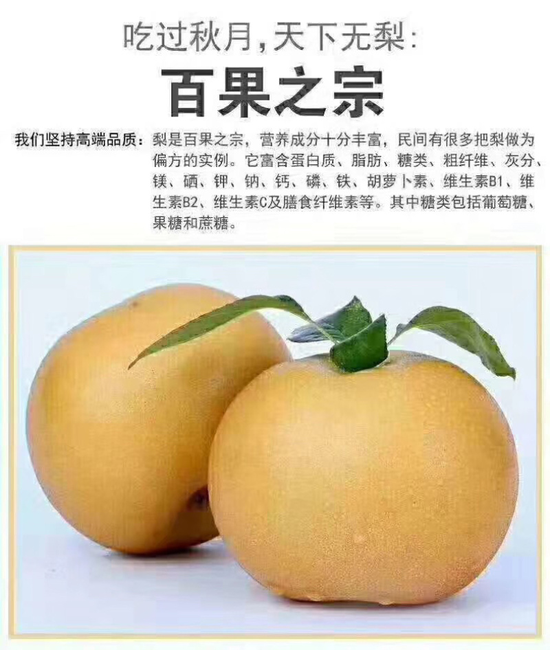秋月梨