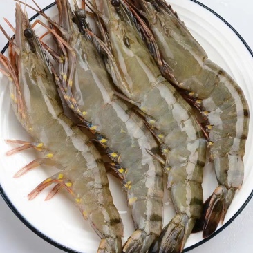 【包邮】生冻黑虎虾350g—650g