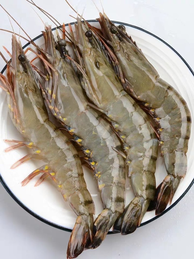 【包邮】生冻黑虎虾350g—650g