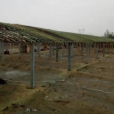 【欢迎咨询】家禽养殖大棚各地专业养殖大棚建设物美价廉