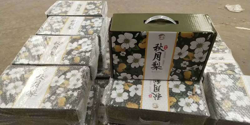 丰水梨已大量采摘产地大量供应