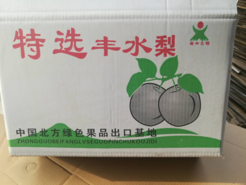 丰水梨已大量采摘产地大量供应