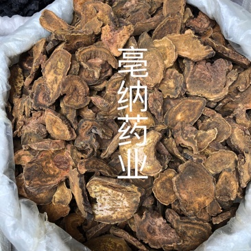 大黄甘肃1公斤起批（马蹄黄）中药材优质大黄批发