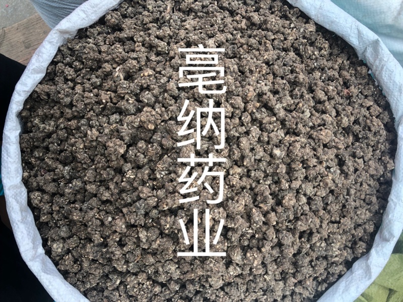猫爪草河南1公斤起批大货批发