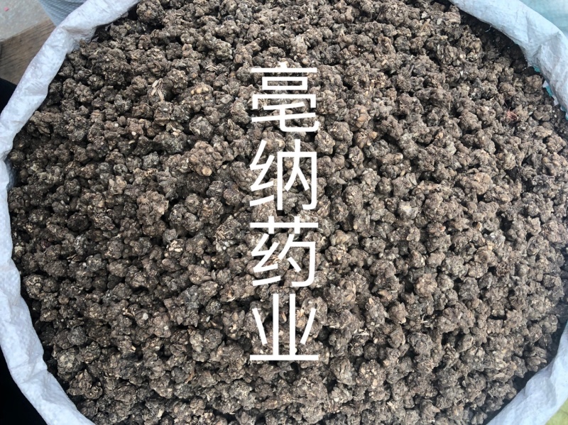 猫爪草河南1公斤起批大货批发