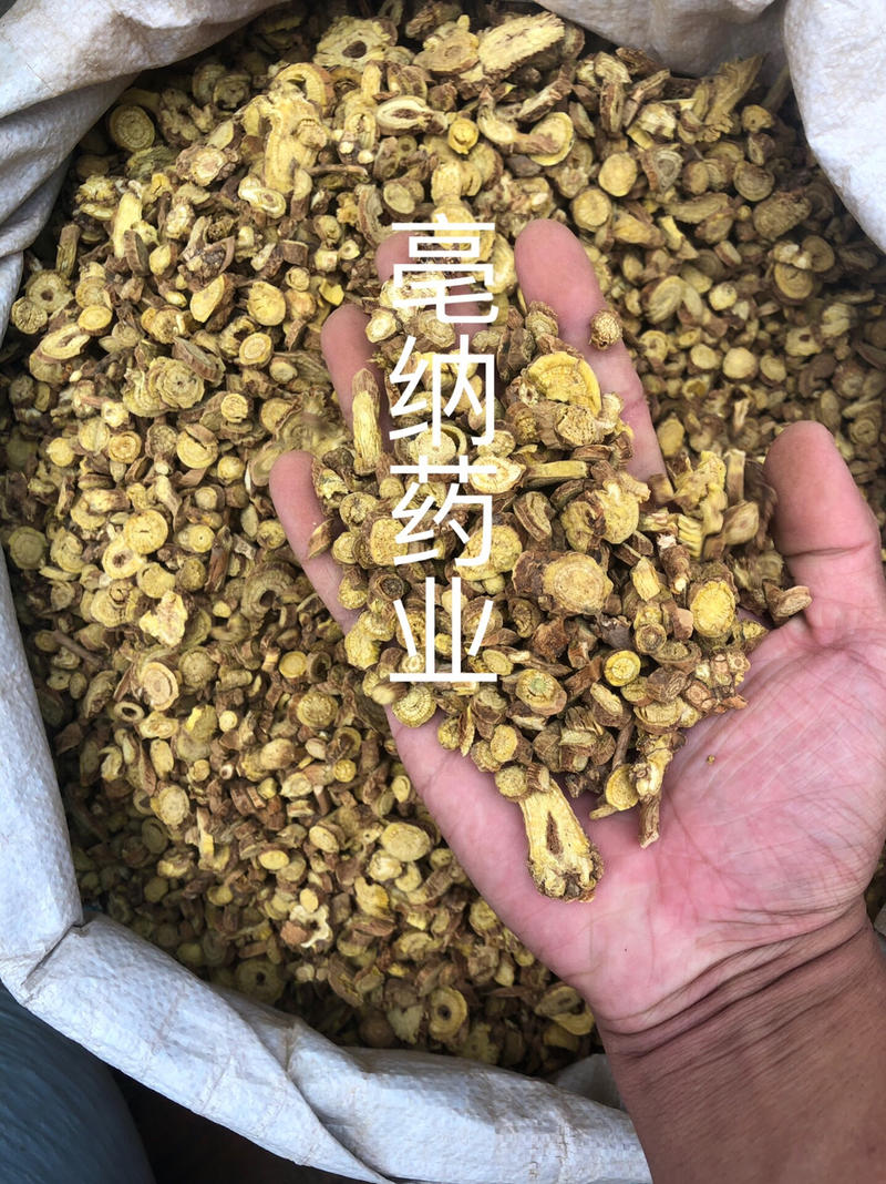 黄芩1公斤起批大货批发