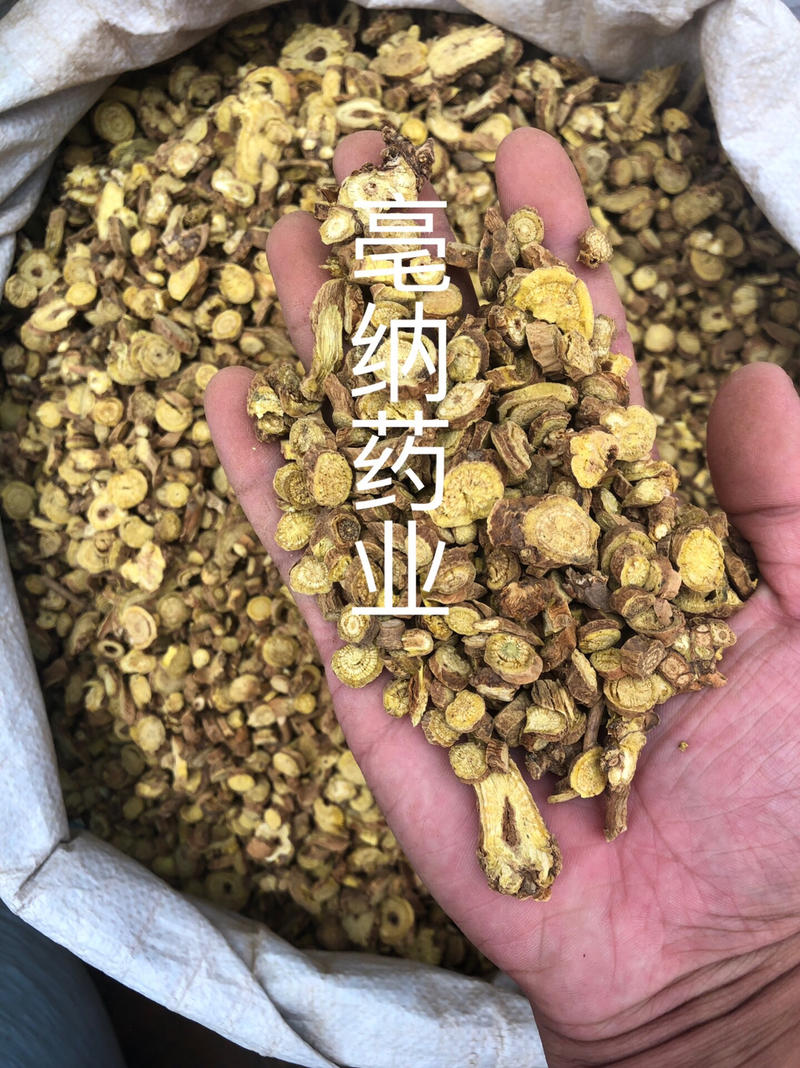 黄芩1公斤起批大货批发
