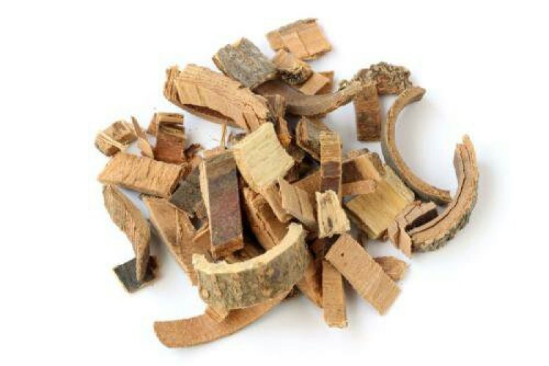 秦皮千余品种供应承接订单