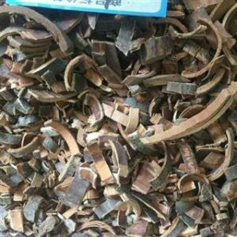 秦皮千余品种供应承接订单