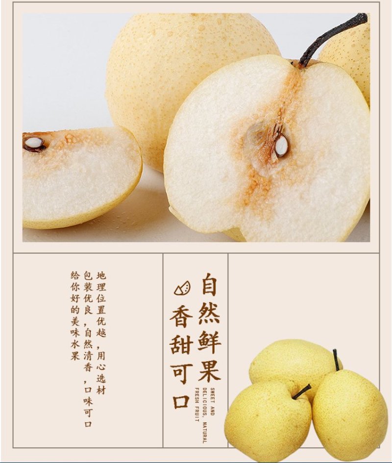 蒲城酥梨