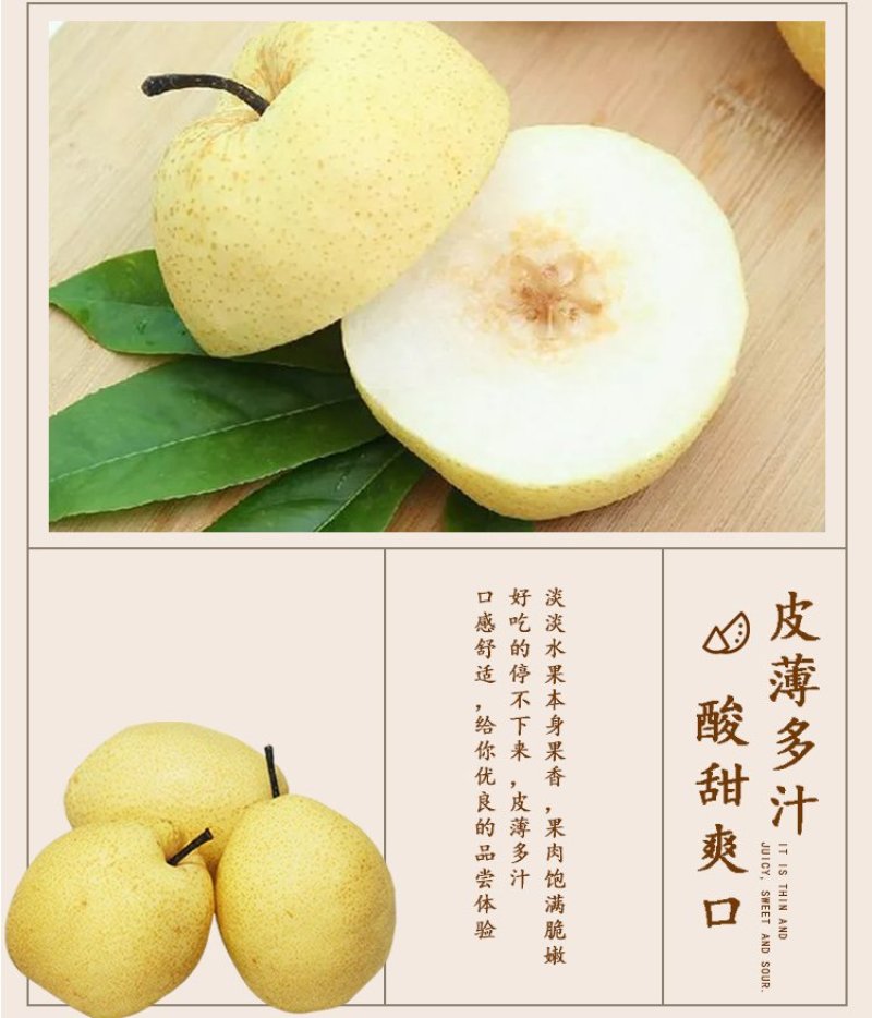蒲城酥梨